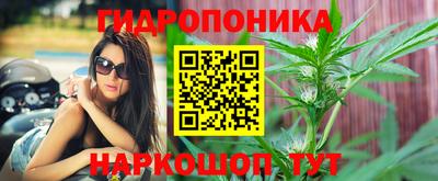 ешки Тула