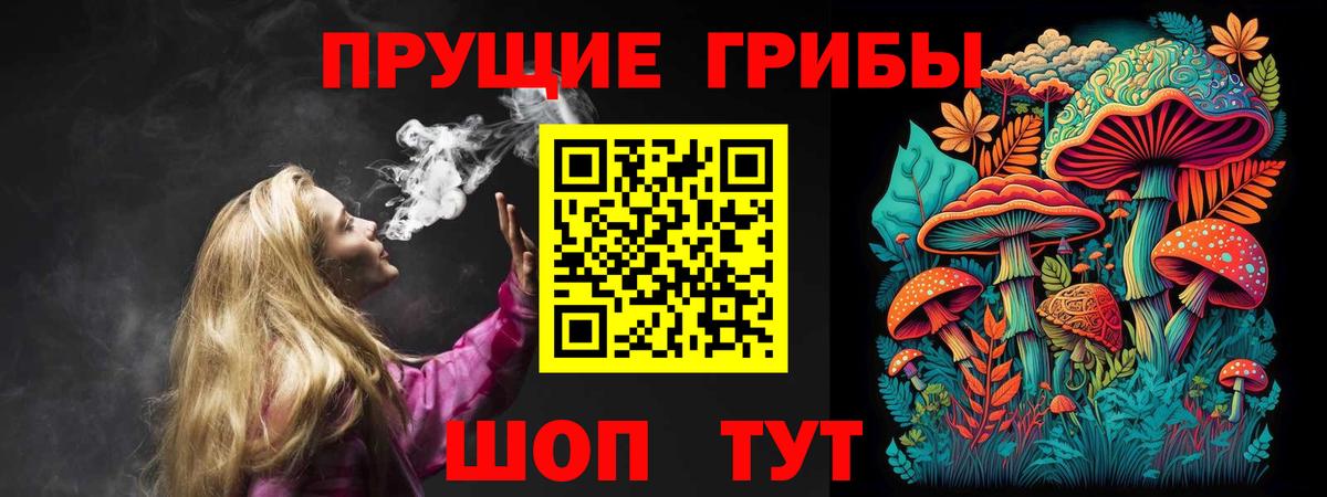 Псилоцибиновые грибы Psilocybine cubensis Шебекино